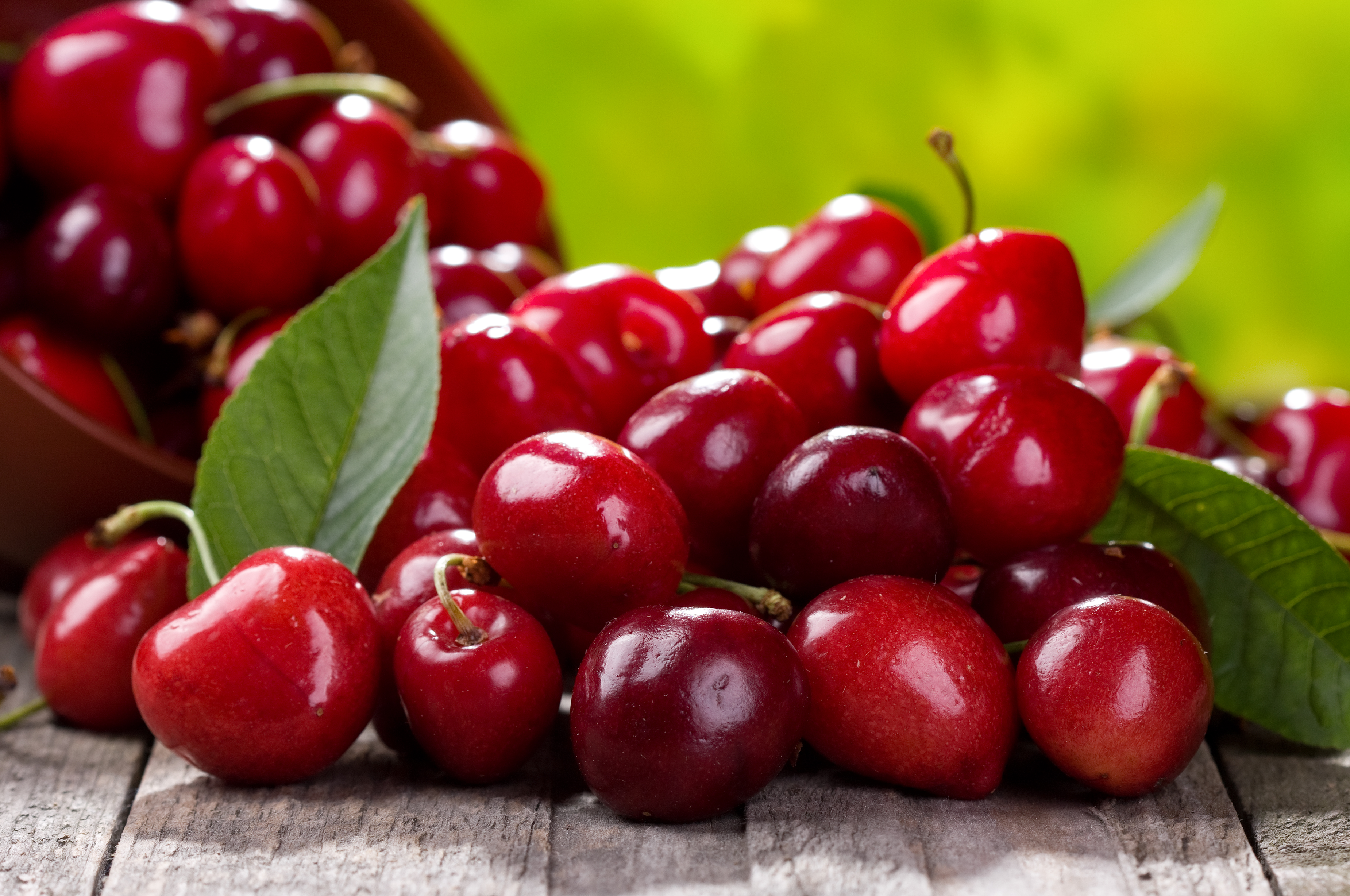 Everything you need to know about sour cherries