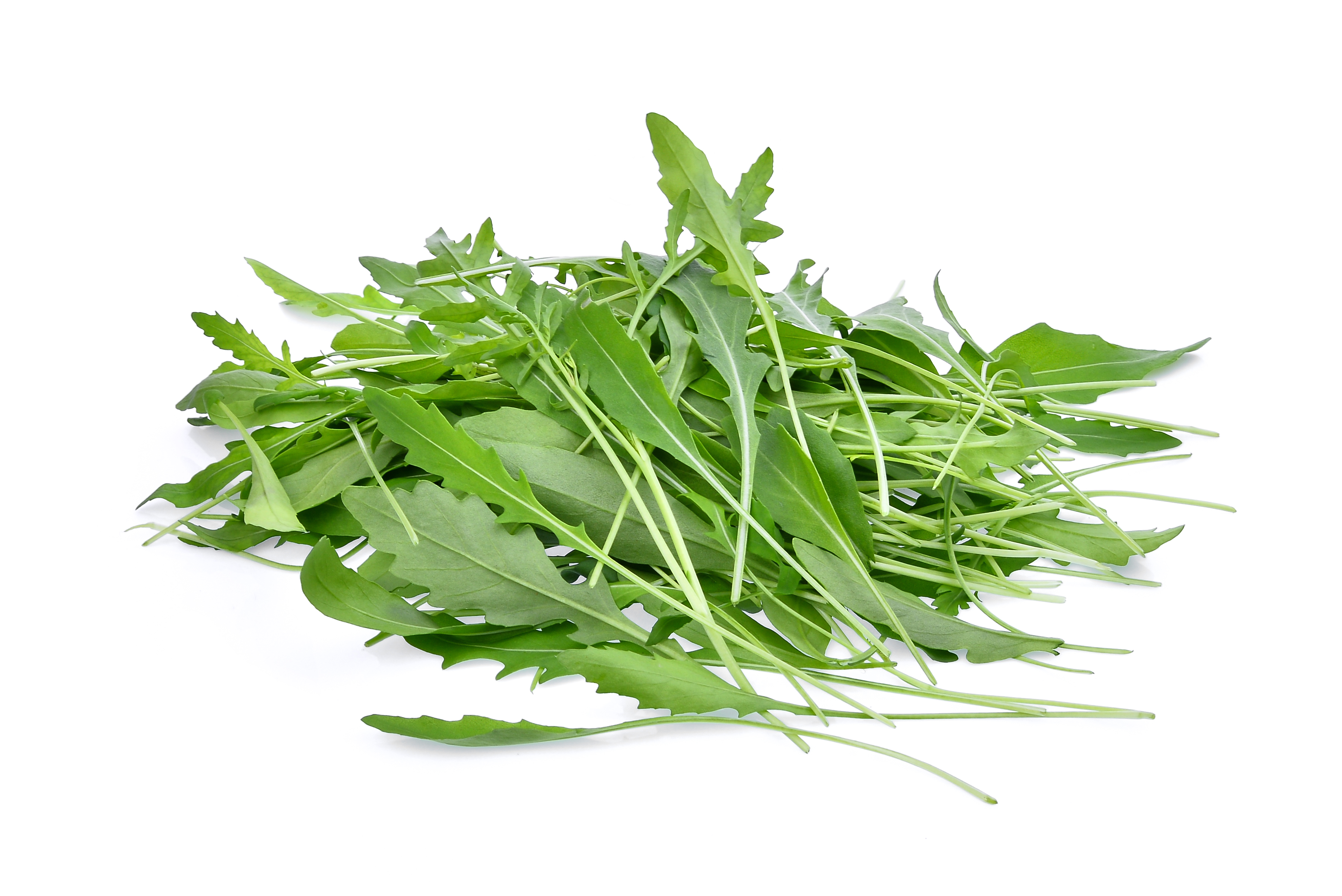 Arugula