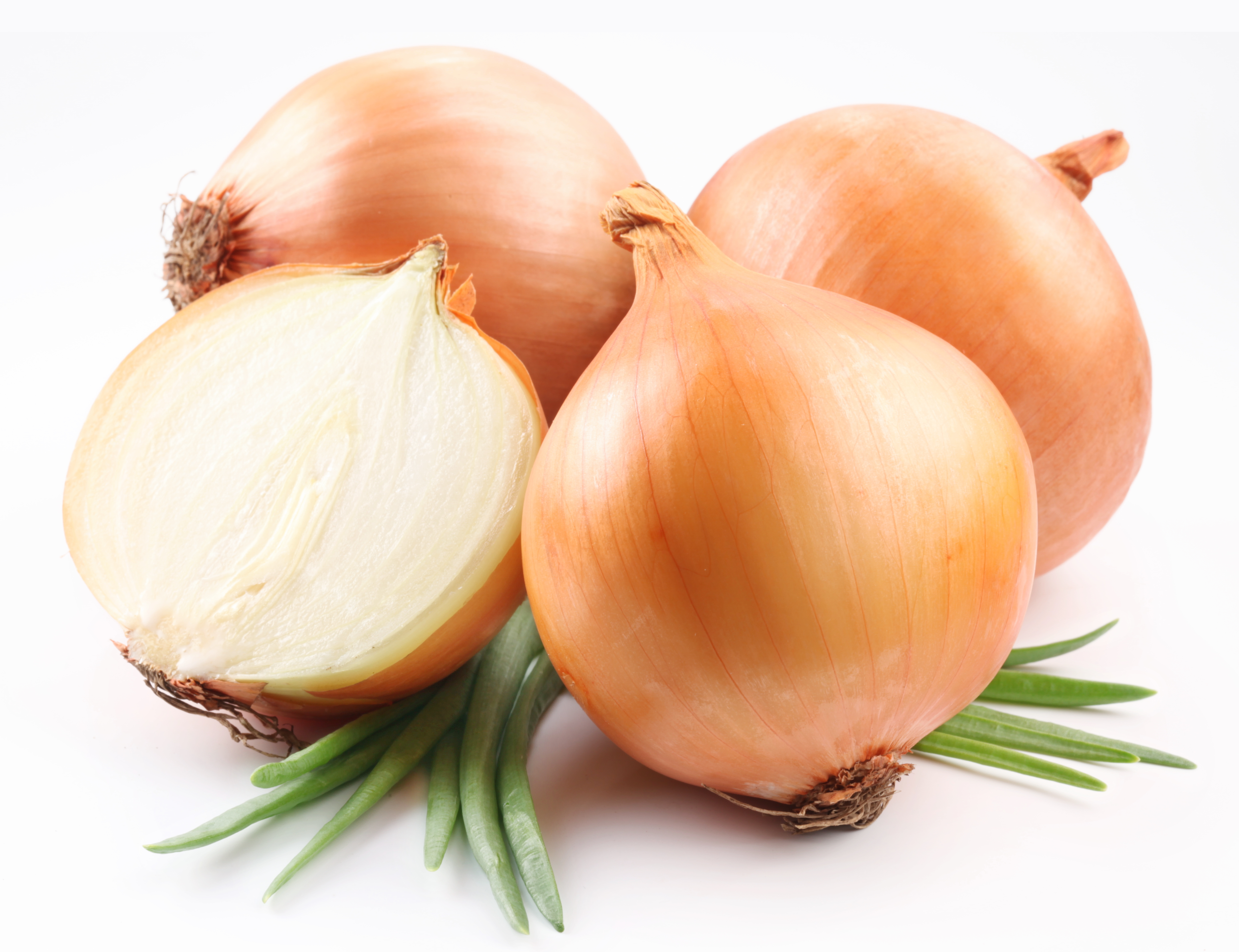 Onion