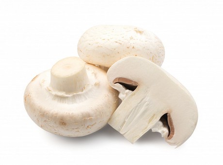 Сhampignon mushrooms