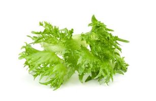 Frisée lettuce