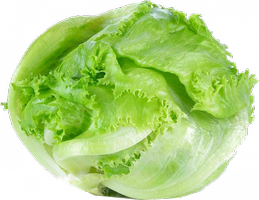 Iceberg lettuce