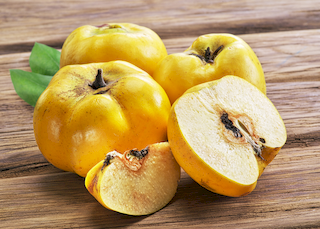 Quince bark
