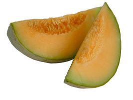 Melon
