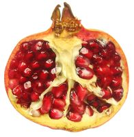 Pomegranate