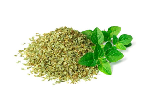 Oregano