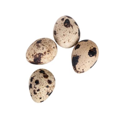 Quail Egg