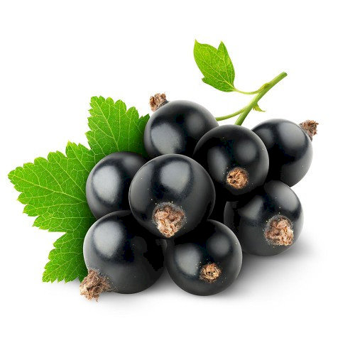 Currants